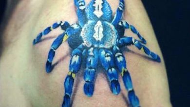 Photo of Тату тарантул — значение, описание, фото татуировки